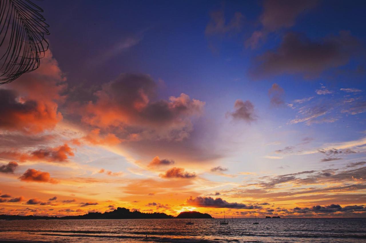 Bahia Del Sol Beach Front Boutique Hotel ポトレロ エクステリア 写真
