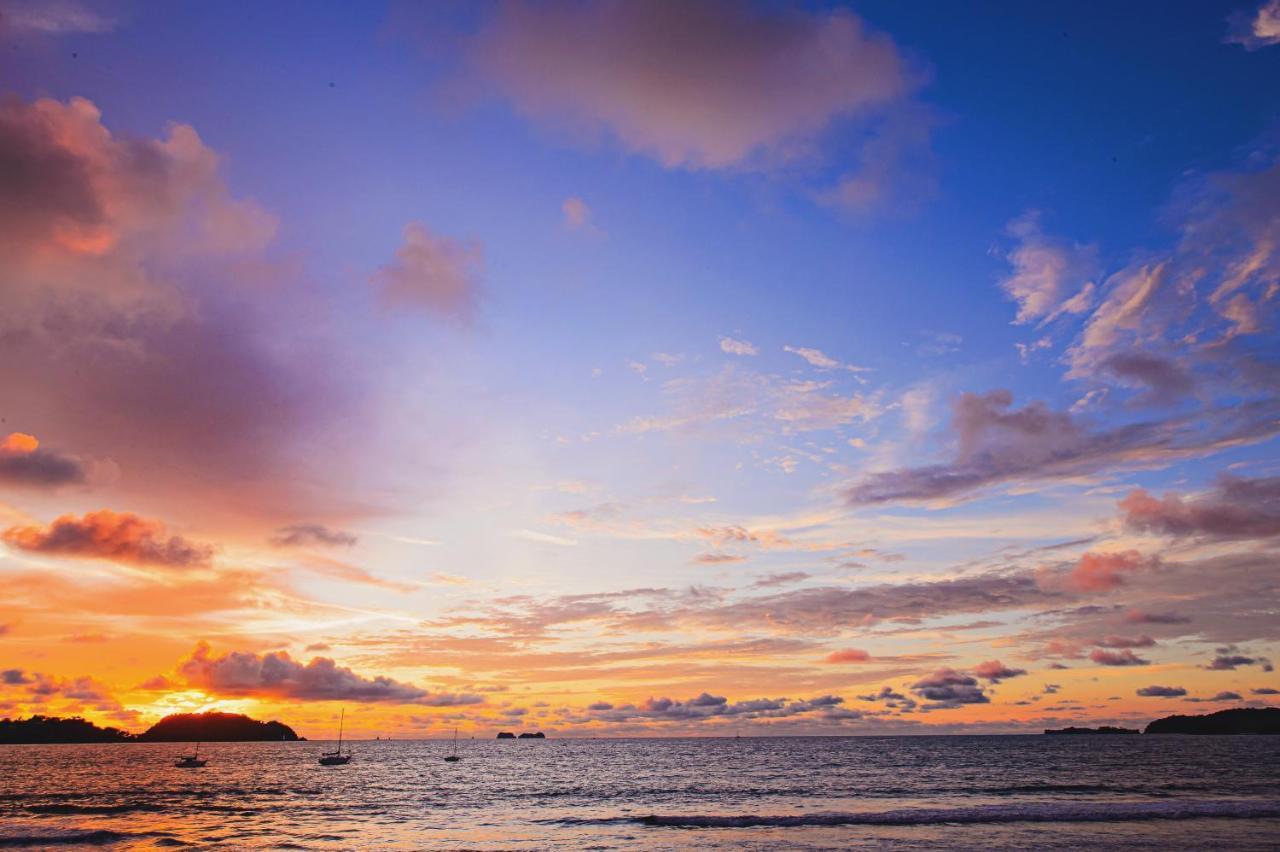 Bahia Del Sol Beach Front Boutique Hotel ポトレロ エクステリア 写真